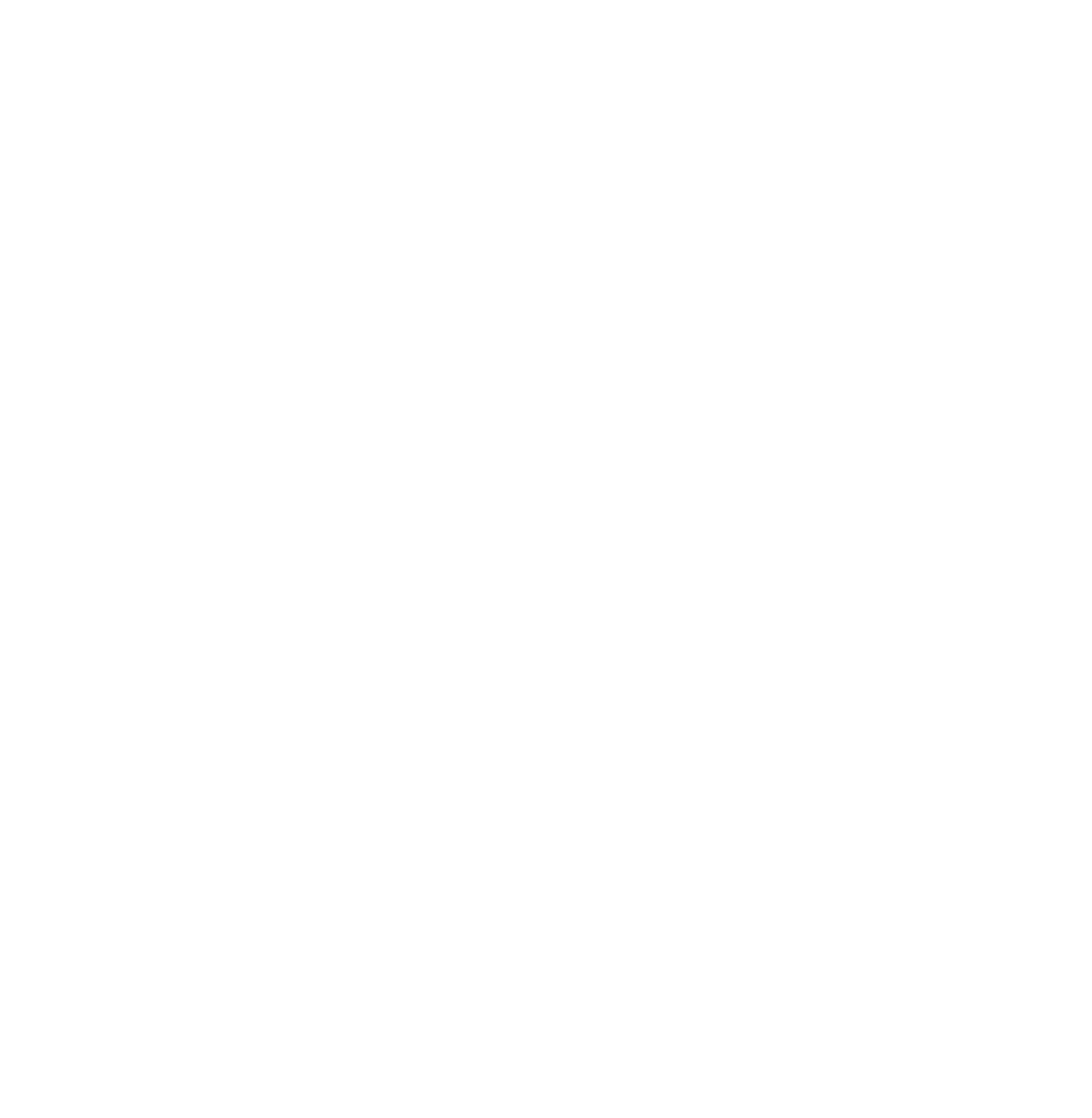 stc-logo-white-ohne-schrift